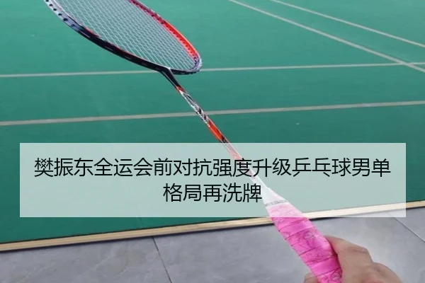 樊振东全运会前对抗强度升级乒乓球男单格局再洗牌
